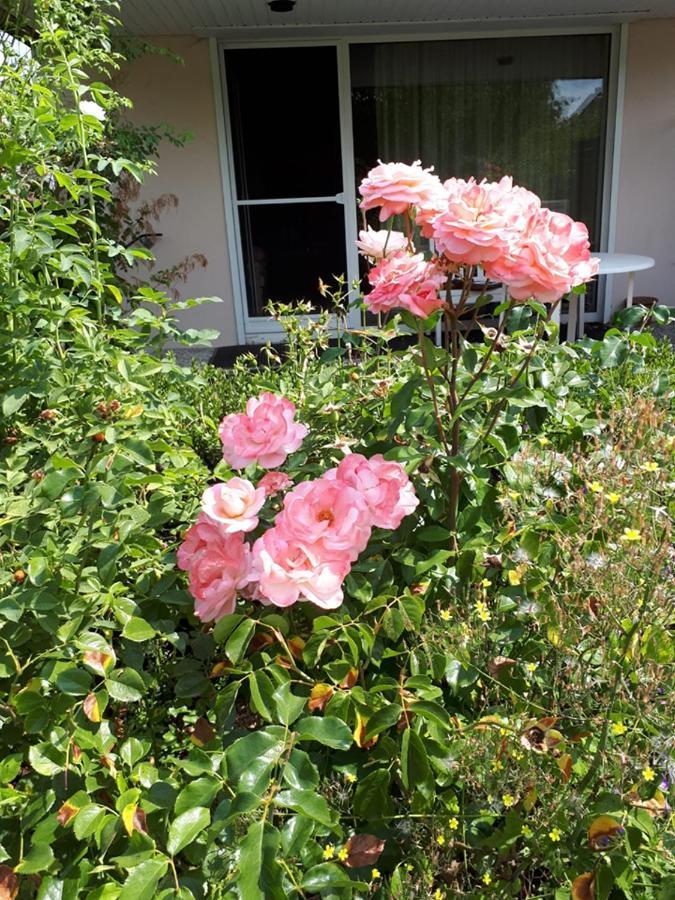 Entire House, Quiet City Location, Garden, Parking 빌레펠트 외부 사진